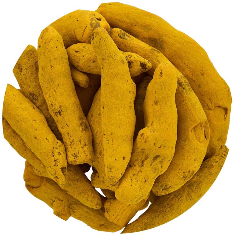 Zerdeçal Tane